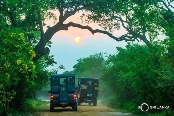 Kottamba Yala Stay & Safari Tissamaharama Exteriér fotografie
