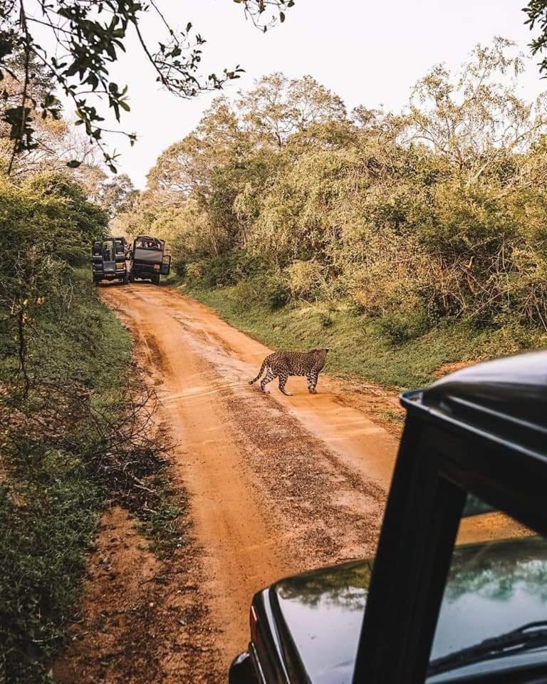 Kottamba Yala Stay & Safari Tissamaharama Exteriér fotografie