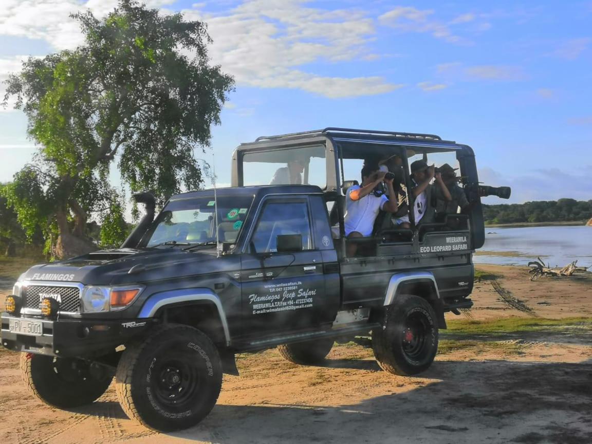 Kottamba Yala Stay & Safari Tissamaharama Exteriér fotografie